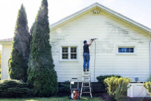 Siding Repair